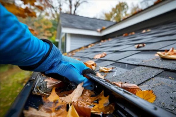 Gutter-Cleaning